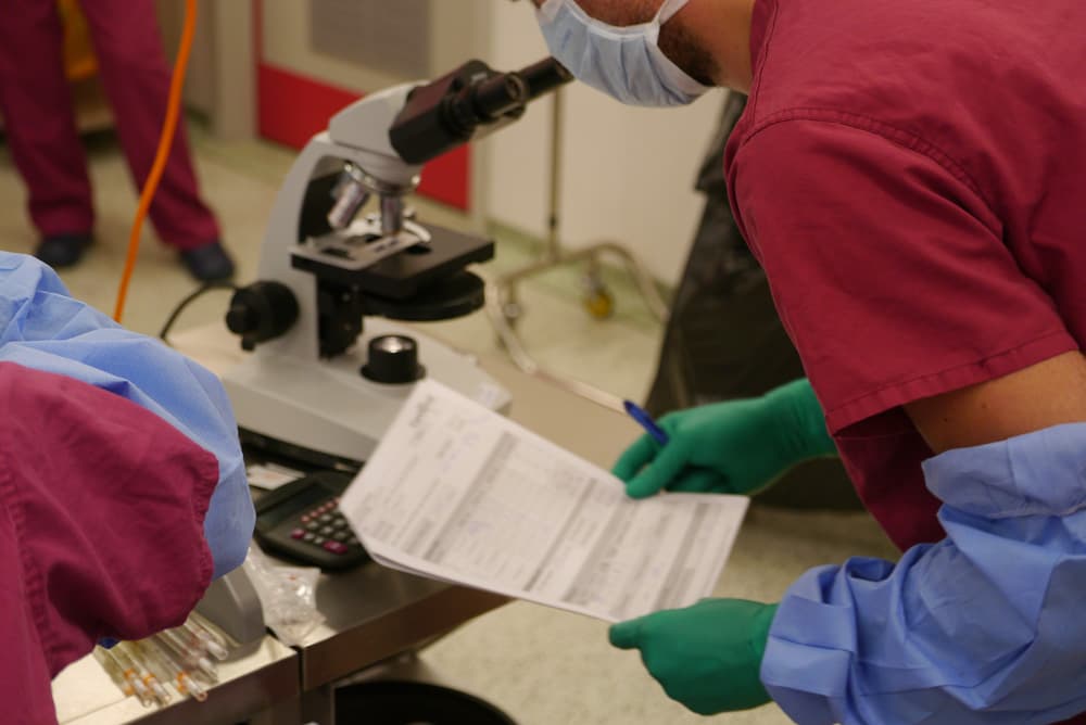 STACi cartilage cell therapy prepared at London Cartilage Clinic